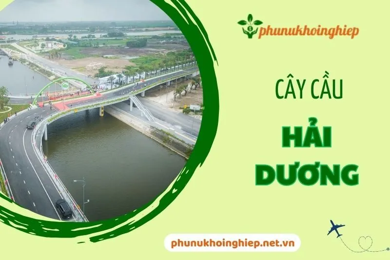 Cây cầu Hải Dương: Điểm nhấn giao thông và tiềm năng du lịch 2025
