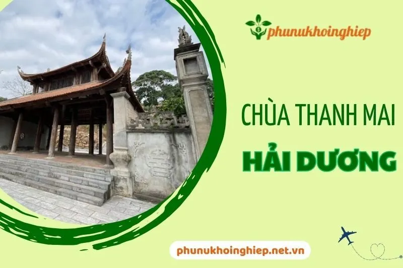 Chùa Thanh Mai Hải Dương – Điểm đến tâm linh và kiến trúc cổ tại Hải Dương