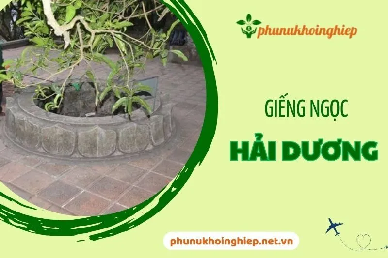 Giếng Ngọc – Huyền thoại giếng thiêng hơn 700 năm tại Hải Dương