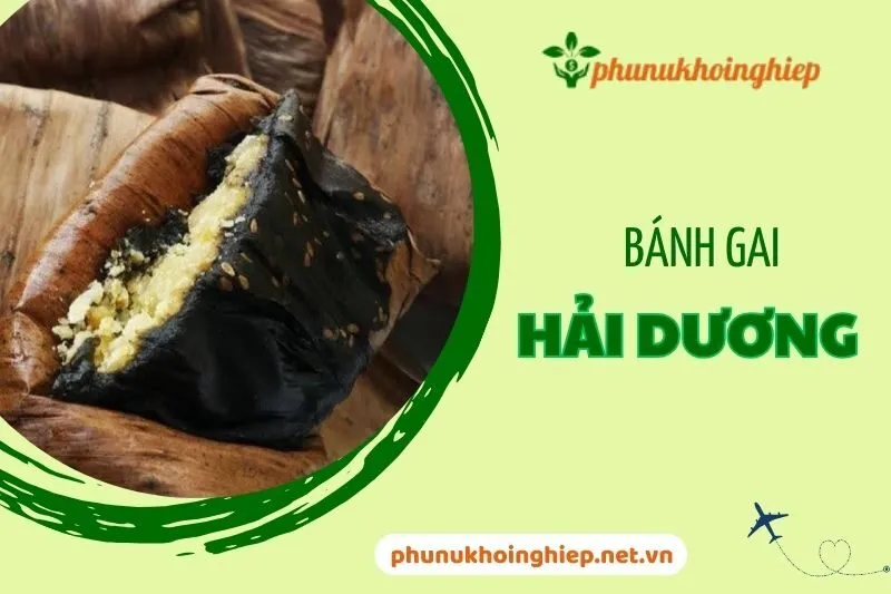 Khám Phá Bánh Gai Hải Dương 2025 - Đặc Sản Truyền Thống Việt Nam