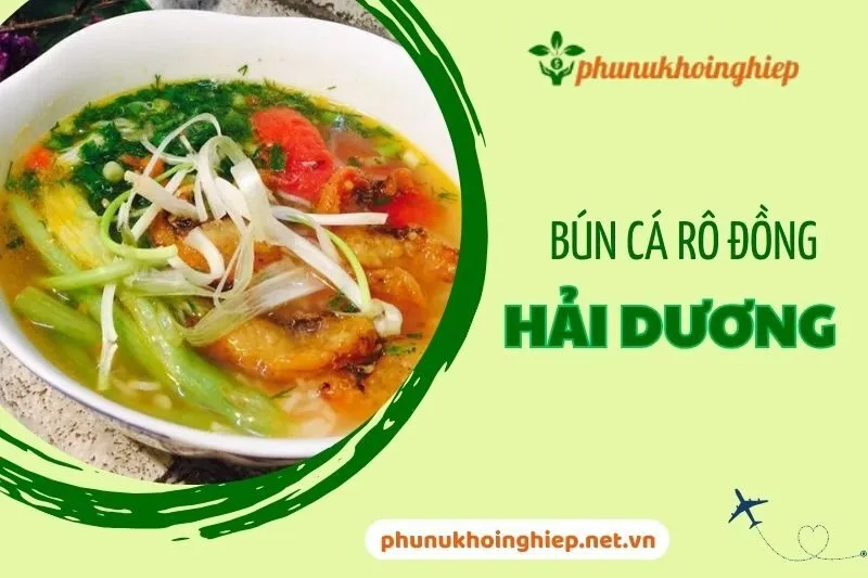 Khám Phá Bún Cá Rô Đồng Hải Dương 2025: Đặc Sản Trứ Danh