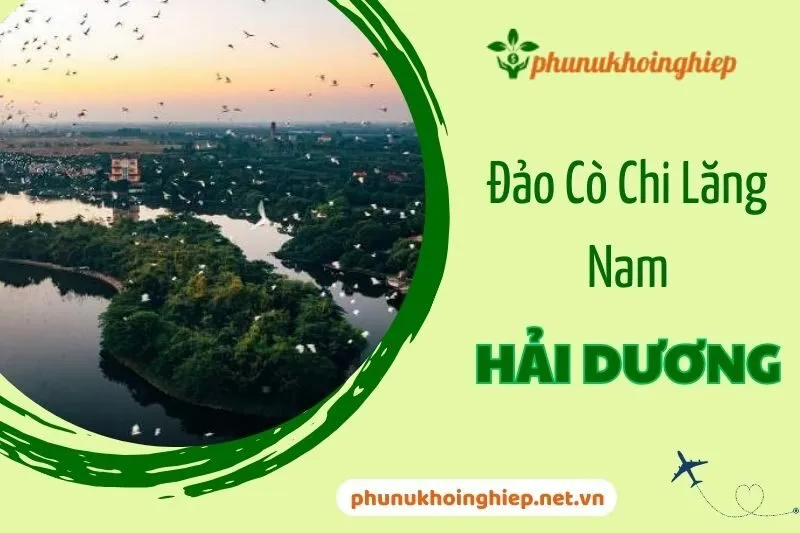 Khám phá Đảo Cò Chi Lăng Nam Hải Dương – Điểm du lịch sinh thái độc đáo