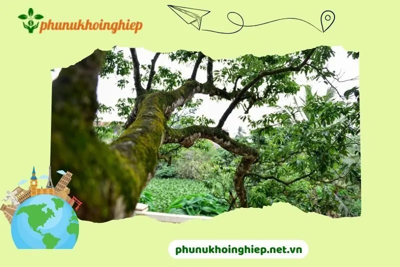 Thời điểm tham quan lý tưởng