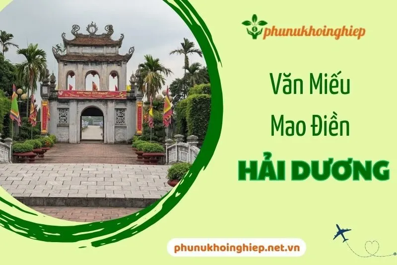 Văn Miếu Mao Điền - Di Tích Văn Hóa Lịch Sử Đặc Biệt Ở Hải Dương